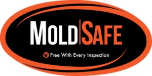 RecallChek MoldSafe logo